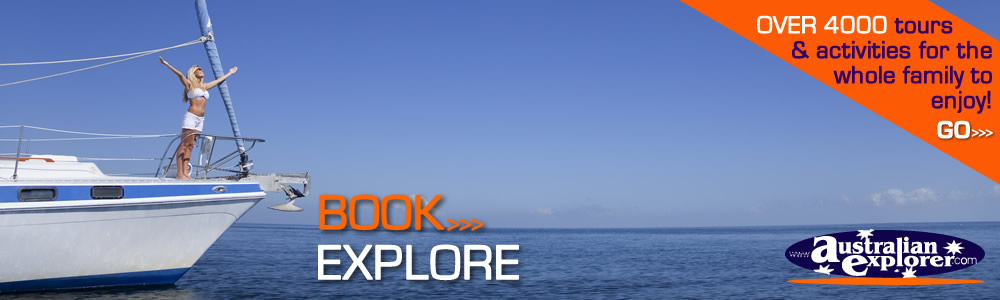 Activities, Experiences and Tours